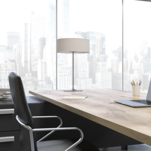 Executive Placemnet 2